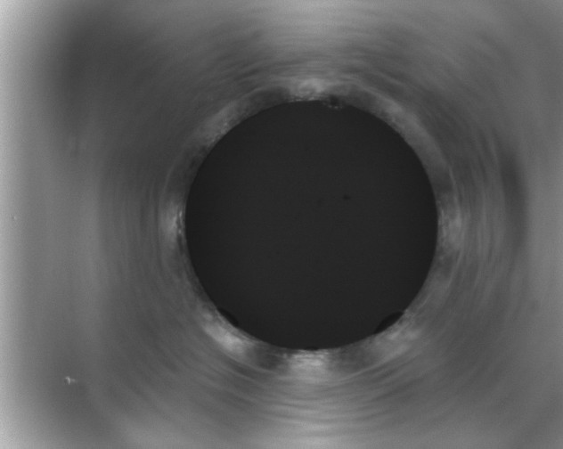 X0000070860574200606302049