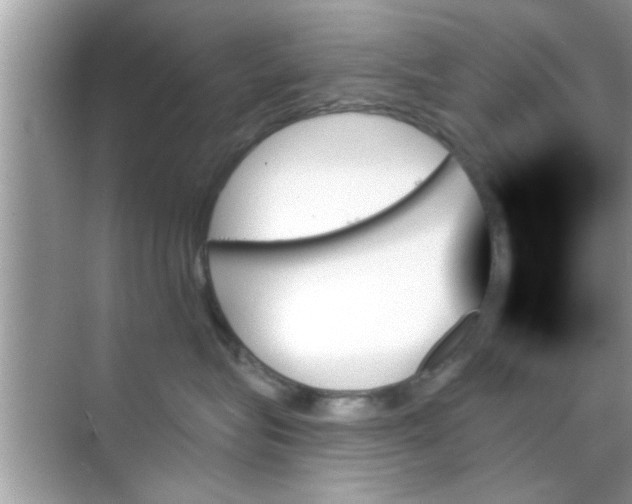 X0000070860575200606302049