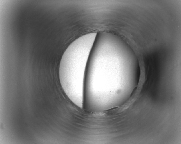 X0000070860576200606302049