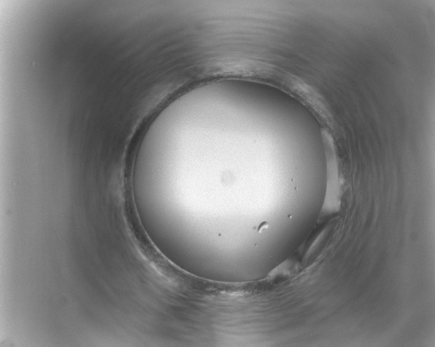 X0000070860578200606302048