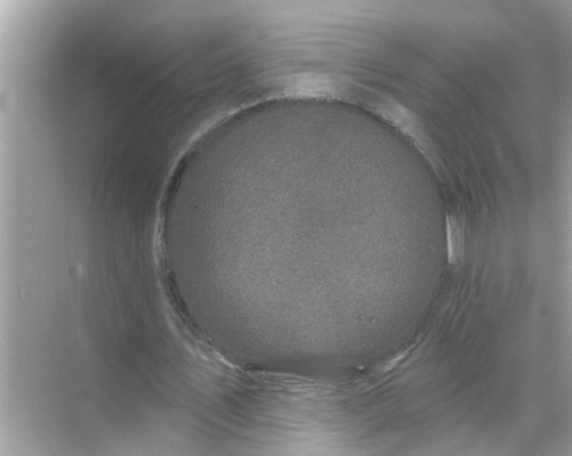 X0000070860579200606302048