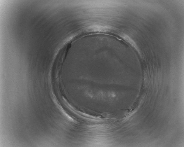 X0000070860581200606302048