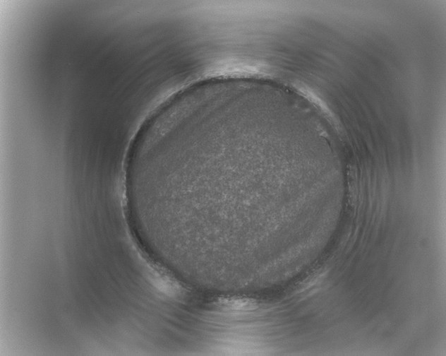 X0000070860582200606302048