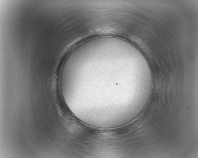 X0000070860583200606302048