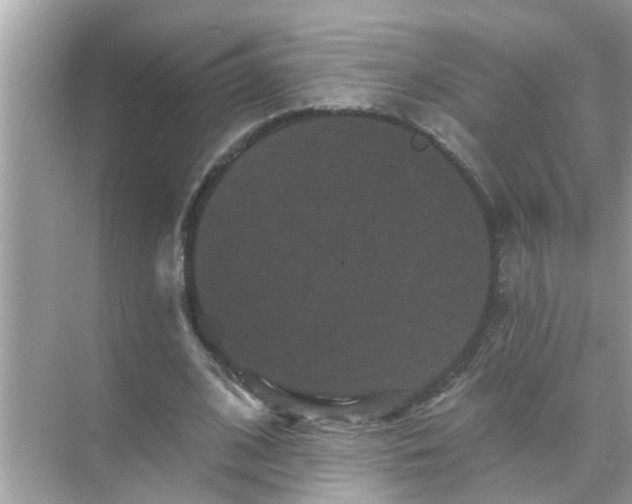 X0000070860584200606302048