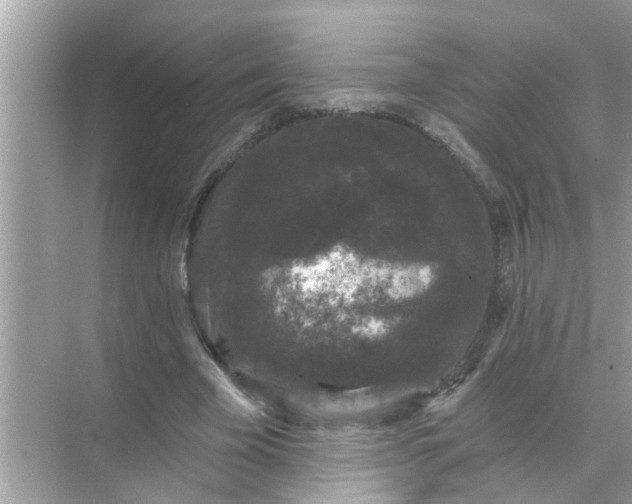 X0000070860585200606302048