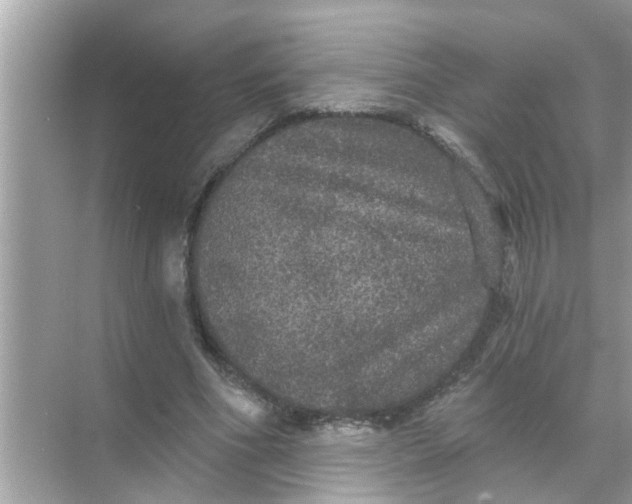 X0000070860586200606302048