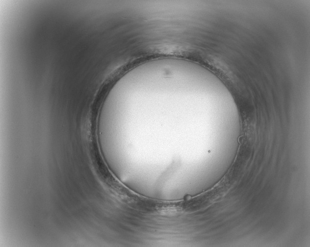 X0000070860587200606302048