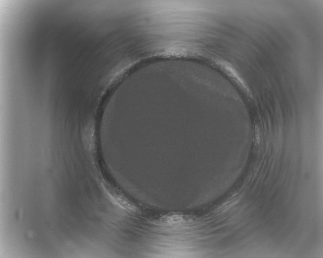 X0000070860588200606302048