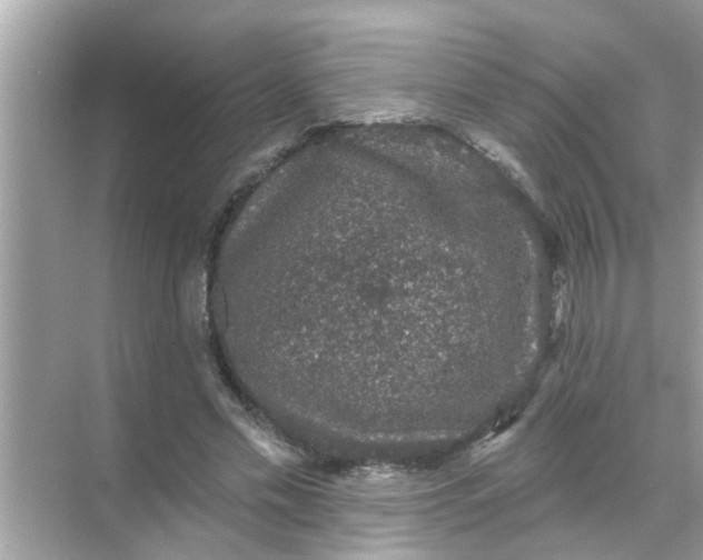 X0000070860589200606302048