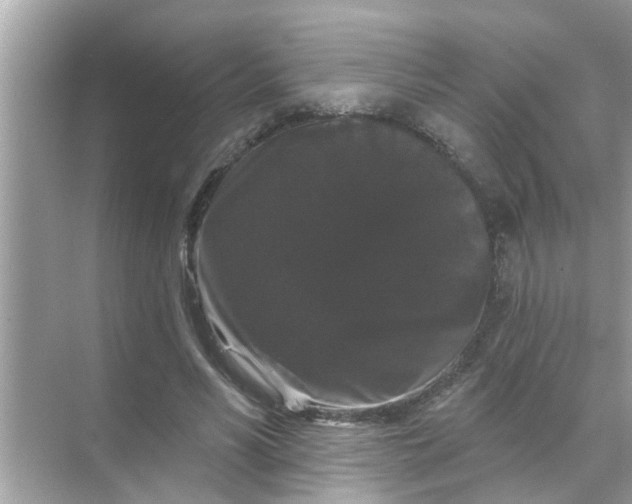 X0000070860590200606302048