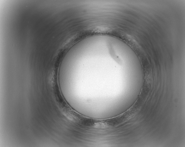 X0000070860591200606302048