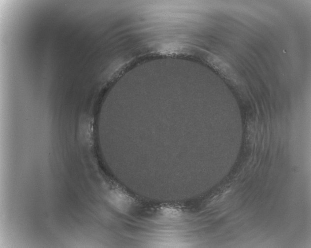 X0000070860592200606302048