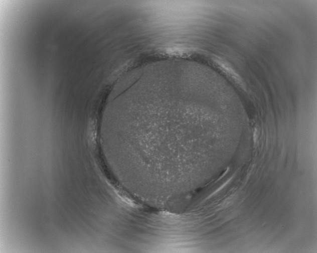 X0000070860593200606302048