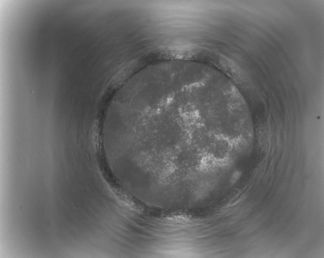 X0000070860594200606302048