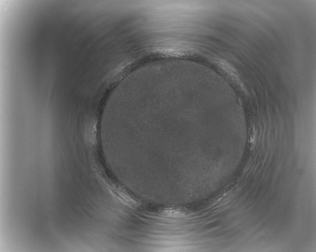 X0000070860596200606302048