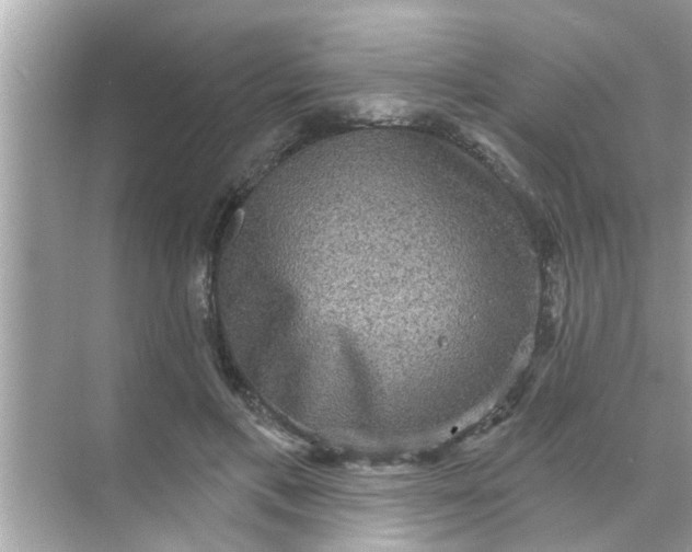 X0000070860597200606302048