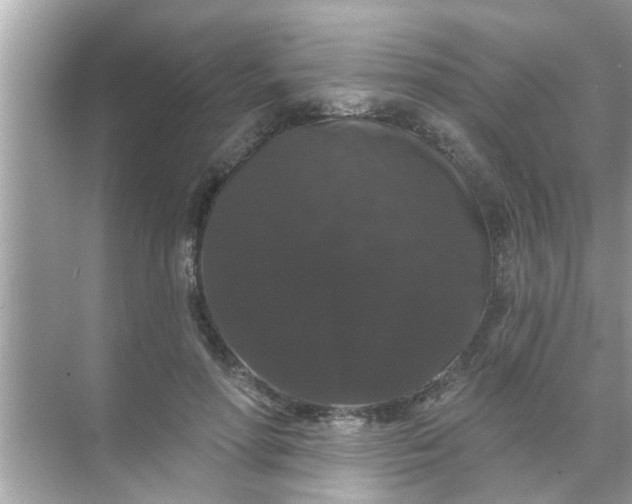 X0000070860598200606302048