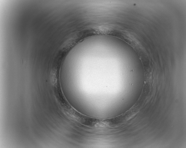 X0000070860599200606302048