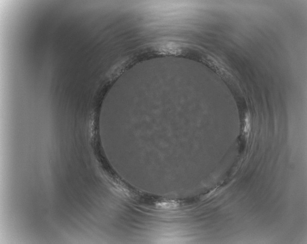 X0000070860600200606302048