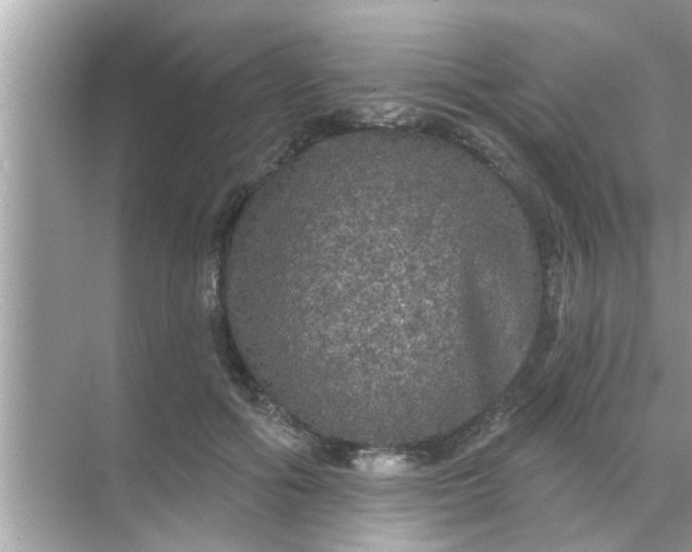 X0000070860602200606302048