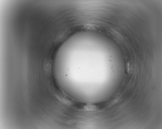 X0000070860603200606302048