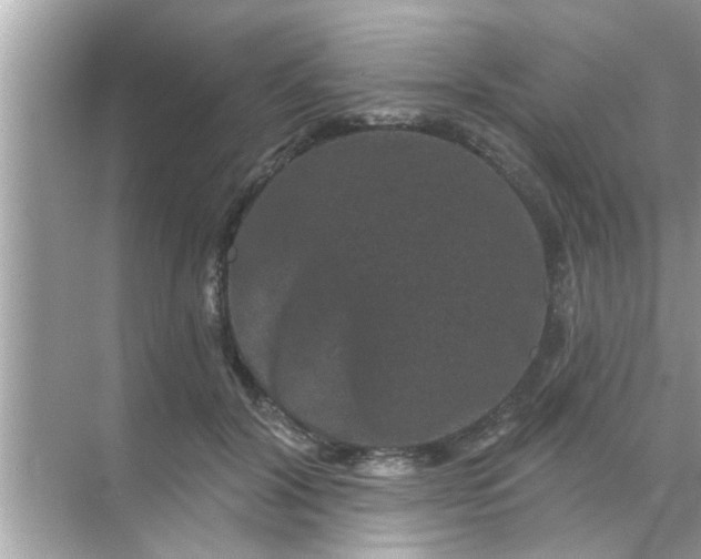 X0000070860604200606302048