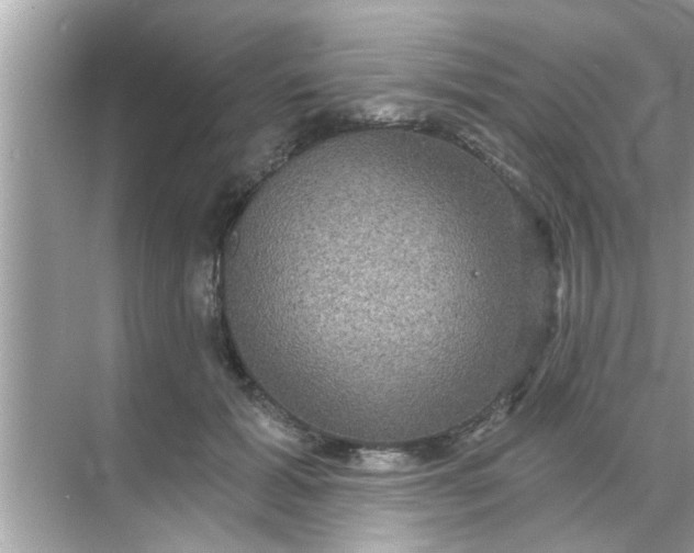 X0000070860605200606302048