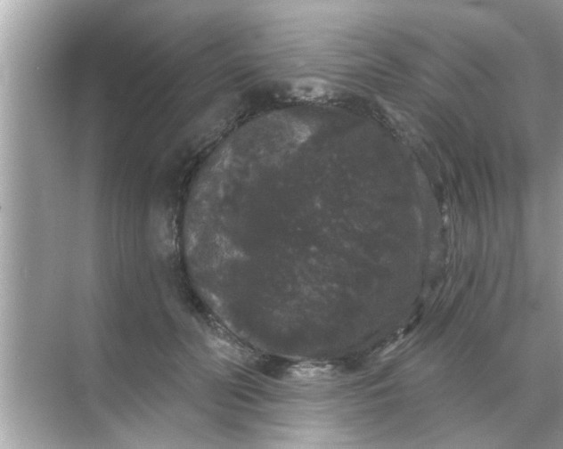 X0000070860606200606302048