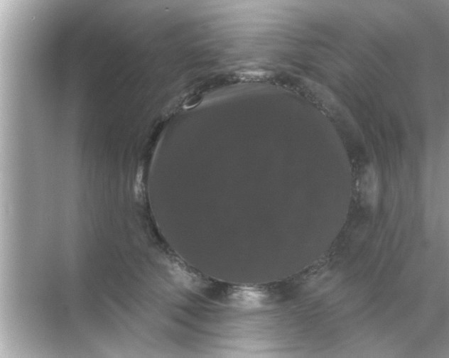 X0000070860610200606302047