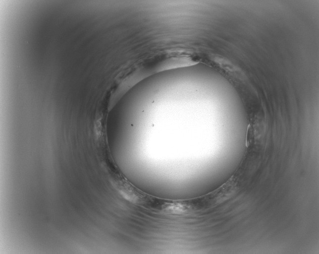 X0000070860611200606302047