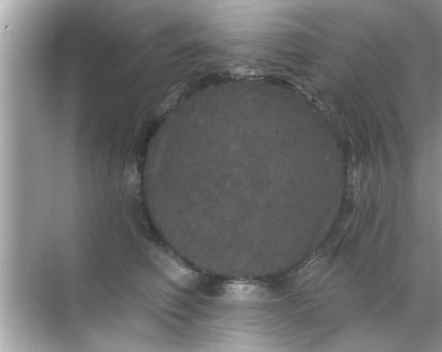 X0000070860614200606302047