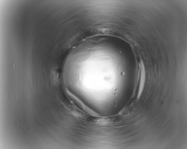 X0000070860615200606302047