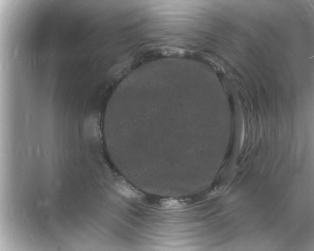 X0000070860616200606302047