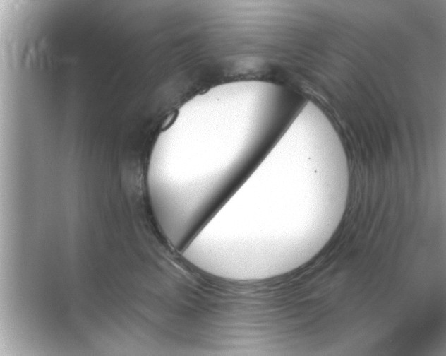 X0000070860617200606302047