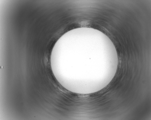 X0000070860618200606302047