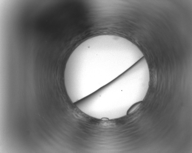 X0000070860619200606302047