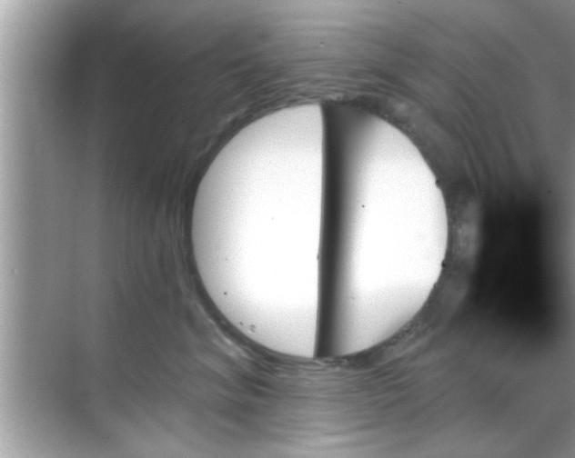 X0000070860620200606302047