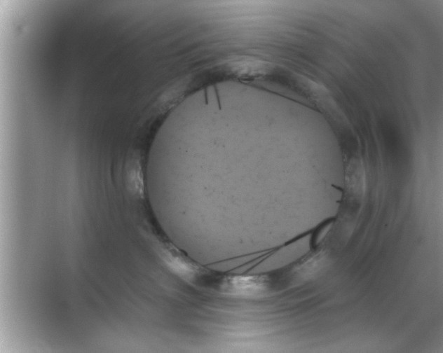 X0000070860622200606302047