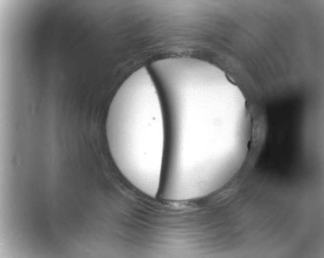 X0000070860623200606302047