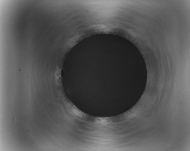 X0000070860624200606302047