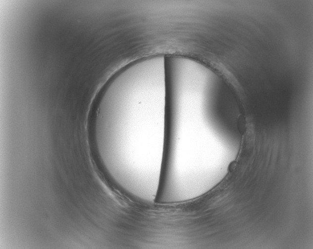 X0000070860626200606302046