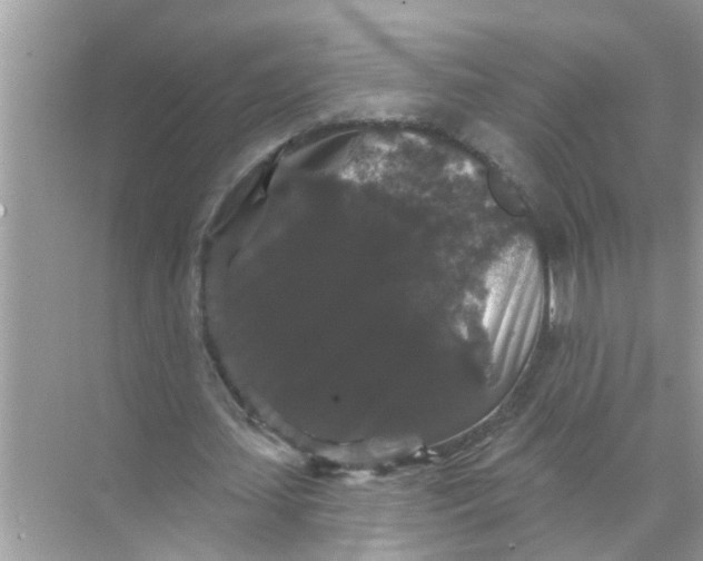 X0000070860627200606302046