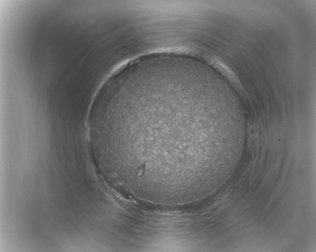 X0000070860628200606302046