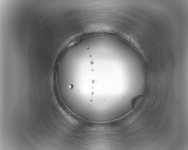 X0000070860629200606302046