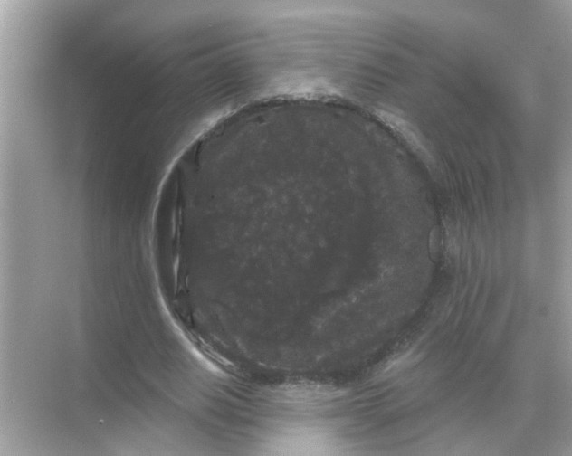 X0000070860630200606302047