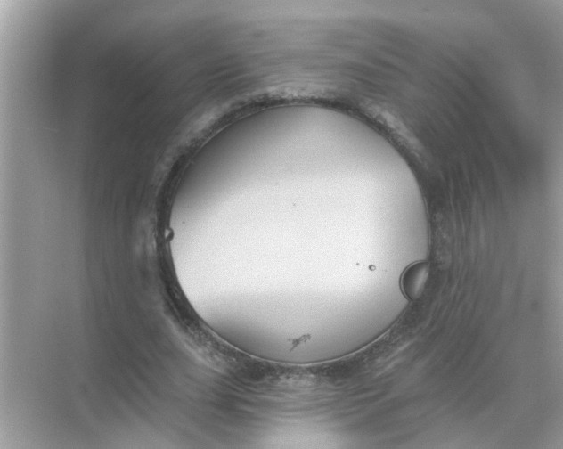 X0000070860631200606302047