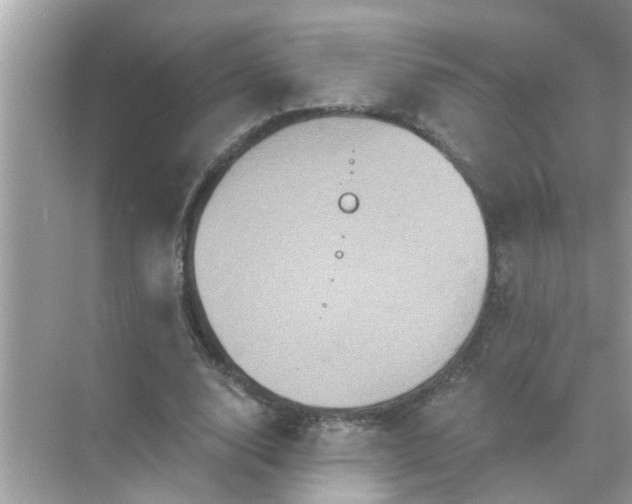 X0000070860632200606302047