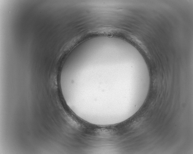 X0000070860633200606302047