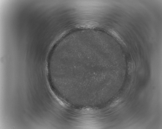 X0000070860634200606302047